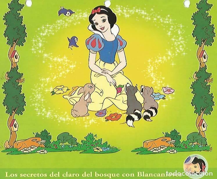 Postais: LAMINA 14059: Los secretos del bosque con Blancanieves - Varios
