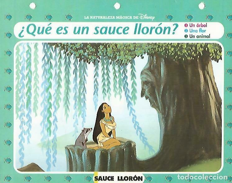 Postais: LAMINA 14098: Sauce lloron. Secretos con Pocahontas - Varios