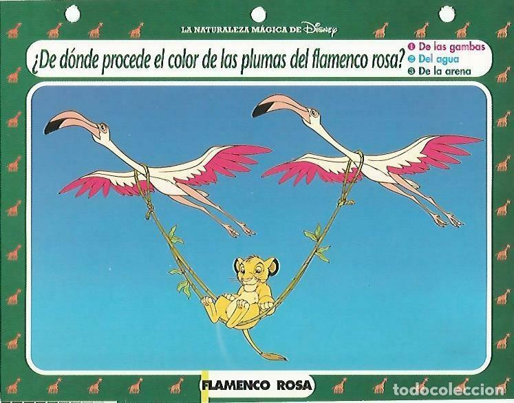 Postais: LAMINA 14140: Flamenco rosa. Secretos con el Rey Leon - Varios