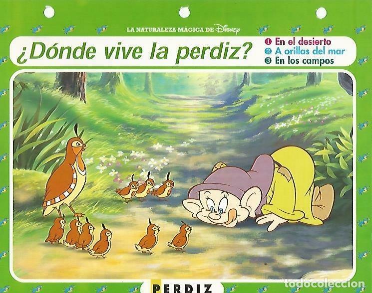 Postais: LAMINA 14068: Perdiz. Secretos del bosque con Blancanieves - Varios