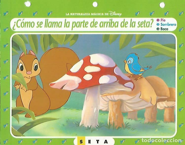 Postais: LAMINA 14164: Seta. Secretos con Blancanieves - Varios