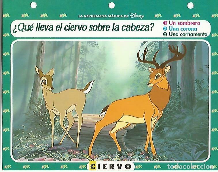 Postais: LAMINA 14146: Ciervo. Secretos con Bambi - Varios