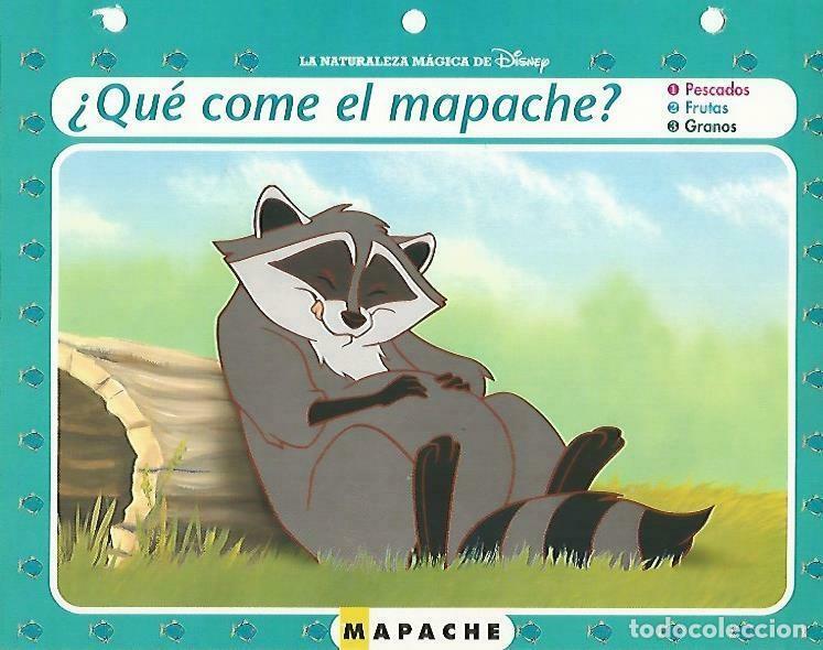 Postais: LAMINA 14115: Mapache. Secretos con Pocahontas - Varios
