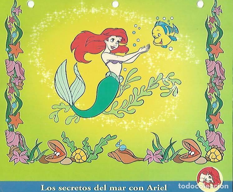 Postais: LAMINA 14058: Los secretos del mar con Ariel - Varios