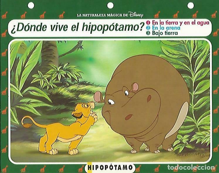 Postais: LAMINA 14107: Hipopotamo. Secretos con el Rey Leon - Varios