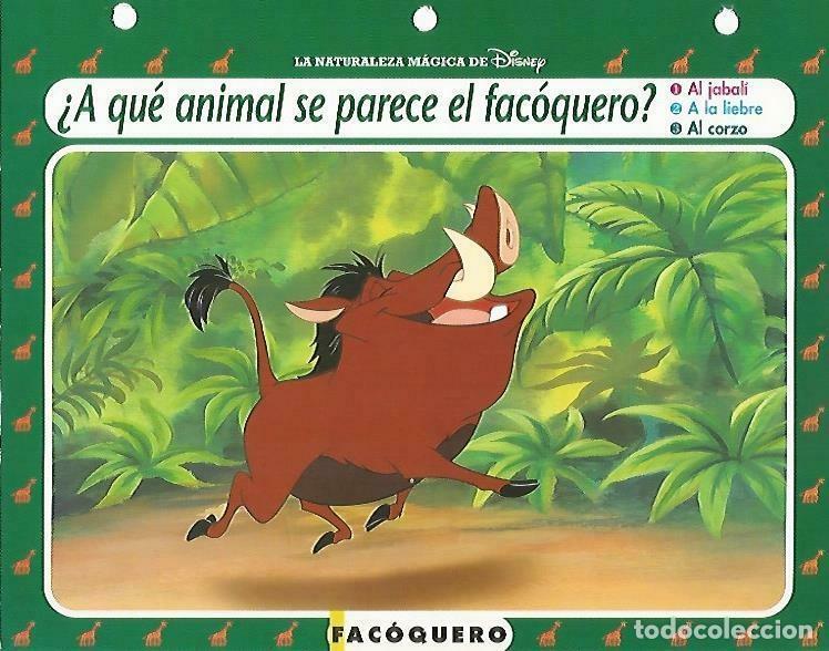 Postais: LAMINA 14153: Facoquero. Secretos con el Rey Leon - Varios