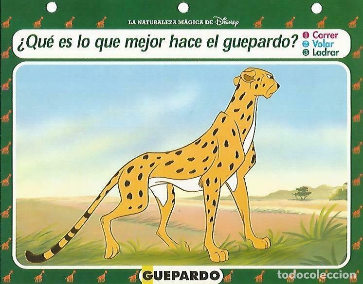 Postcards: LAMINA 14109: Guepardo. Secretos con el Rey Leon - Varios