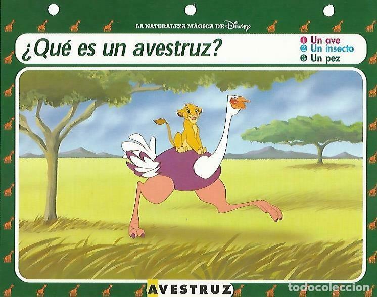 Postcards: LAMINA 14114: Avestruz. Secretos con el Rey Leon - Varios
