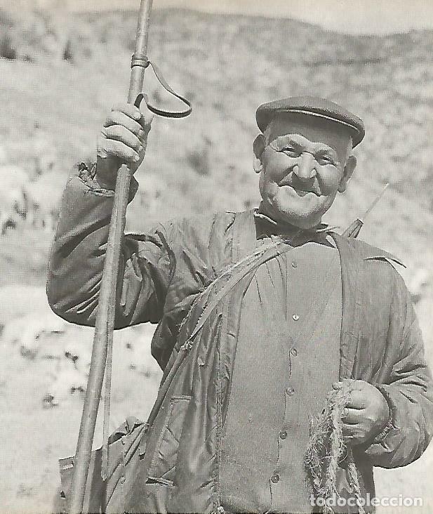 Postkarten: LAMINA 13968: Pastor - Josep Pla