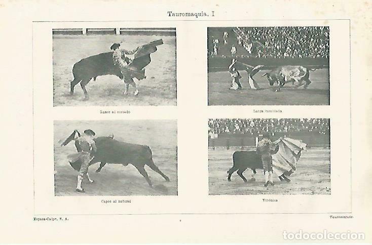 Postcards: LAMINA ESPASA 33506: Tauromaquia:Lance al costado, veronica, capeo al natural y larga cambiada - Var