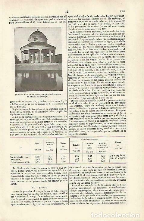 Postais: LAMINA ESPASA 33527: Pabellon de te - Varios