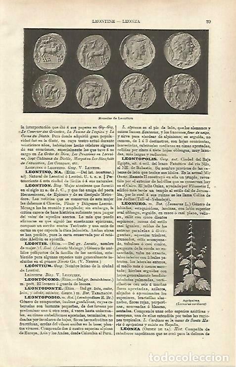 Cartoline: LAMINA ESPASA 33175: Monedas de Leontinus - Varios