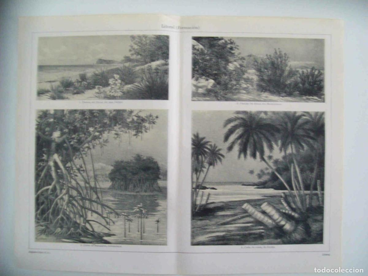 Postais: LAMINA ESPASA 33362: Formacion del litoral - Varios