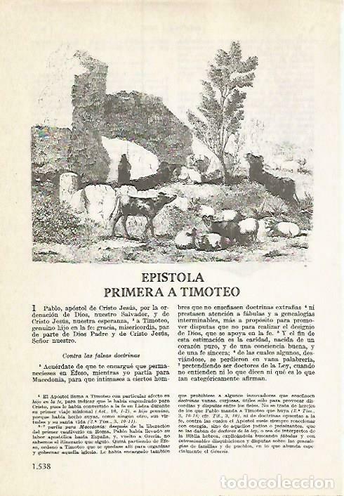 Postais: LAMINA 14602: Epistola a Timoteo - VVAA