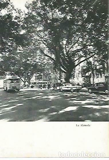 Postais: LAMINA 14371: La Alameda de Malaga - Jose Maria Souviron