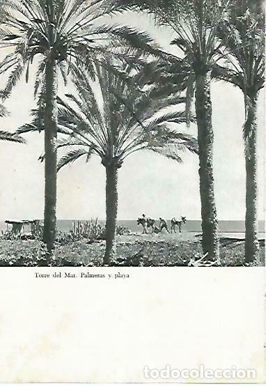 Postais: LAMINA 14377: Playa de Torres de Mar, Malaga - Jose Maria Souviron