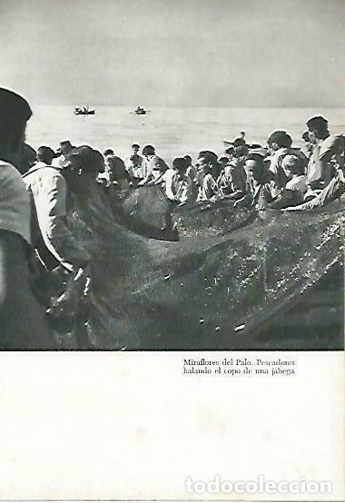 Postais: LAMINA 14362:Pescadores en Miraflores el Palo, Malaga - Jose Maria Souviron