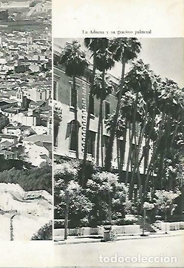Postais: LAMINA 14359: Palmeral de la Aduana de Malaga - Jose Maria Souviron
