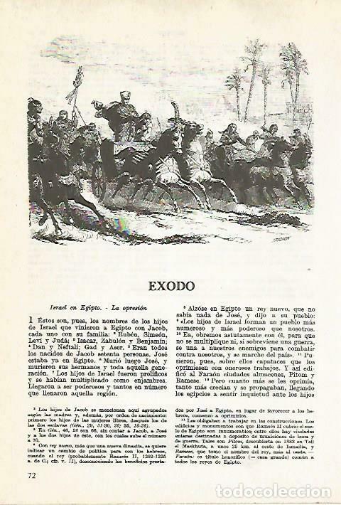 Postais: LAMINA 14476: Exodo - VVAA