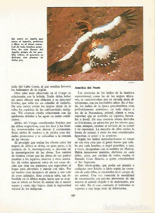 Cartoline: LAMINA 14846: Danza del Aguila - VVAA