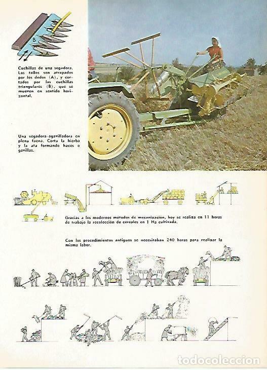 Postales: LAMINA 14839: Segadoras - VVAA