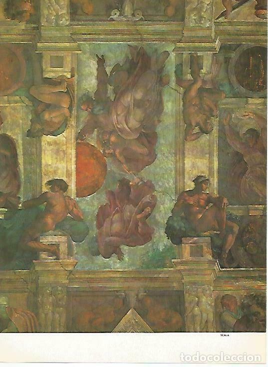 Postales: LAMINA 14914: Detalle de la Capilla Sixtina de Miguel Angel - VVAA