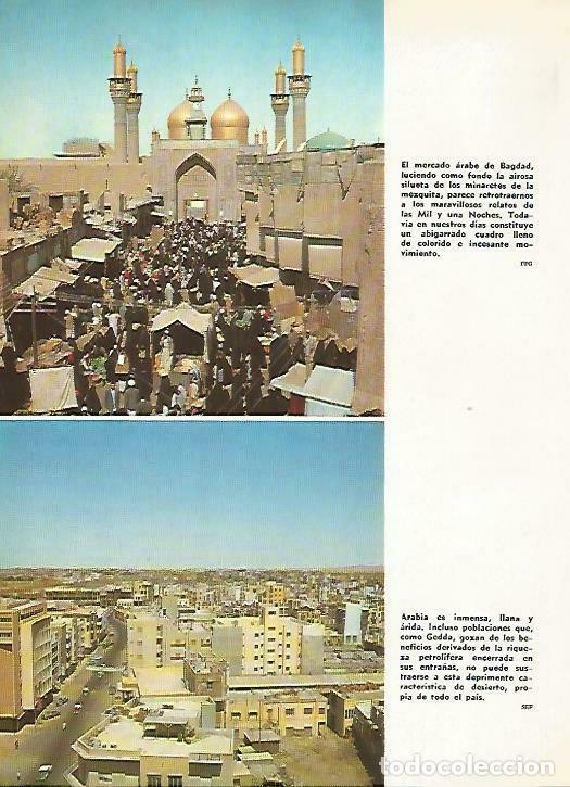 Postais: LAMINA 14947: Mercado en Bagdad, Irak - VVAA