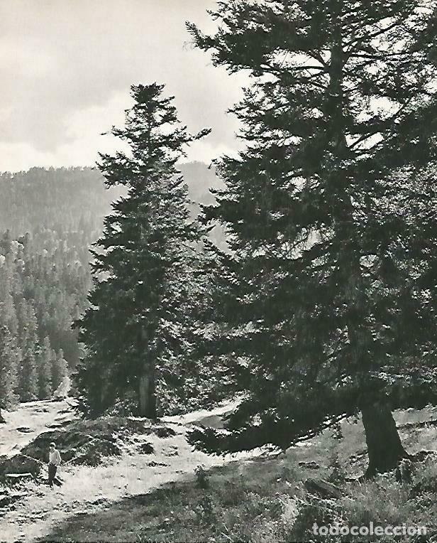 Postkarten: LAMINA 14638: Valle de Cardos - Estanislau Torres. Fotografias de Francesc Catala Roca