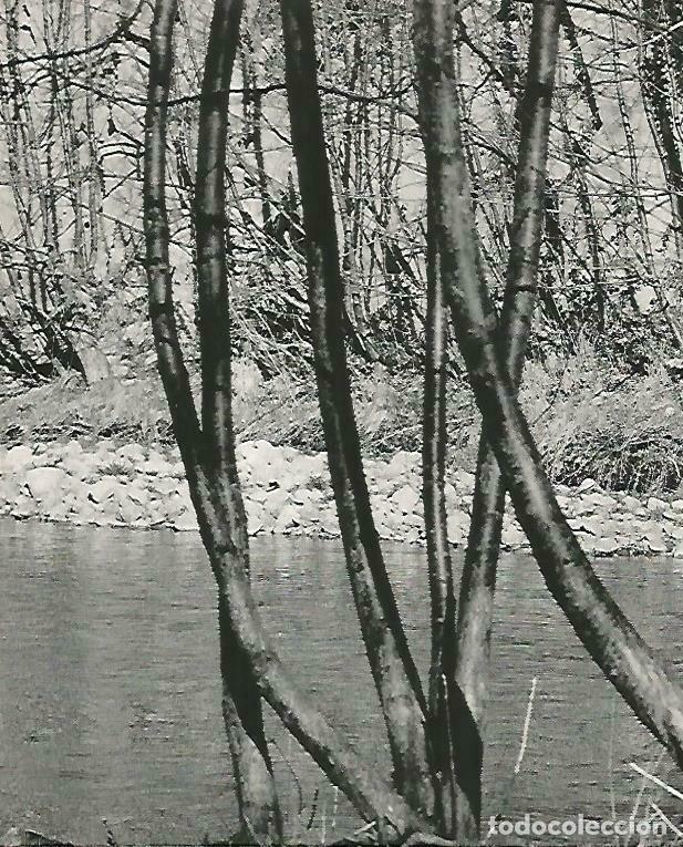 Postcards: LAMINA 14727: Rio Tec - Estanislau Torres. Fotografias de Francesc Catala Roca