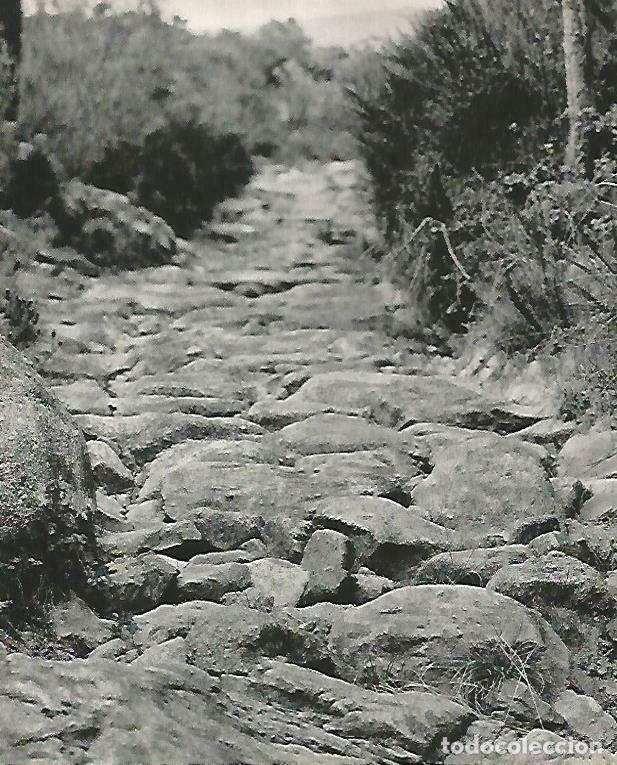 Postcards: LAMINA 14725: Rocas en las Alberes - Estanislau Torres. Fotografias de Francesc Catala Roca