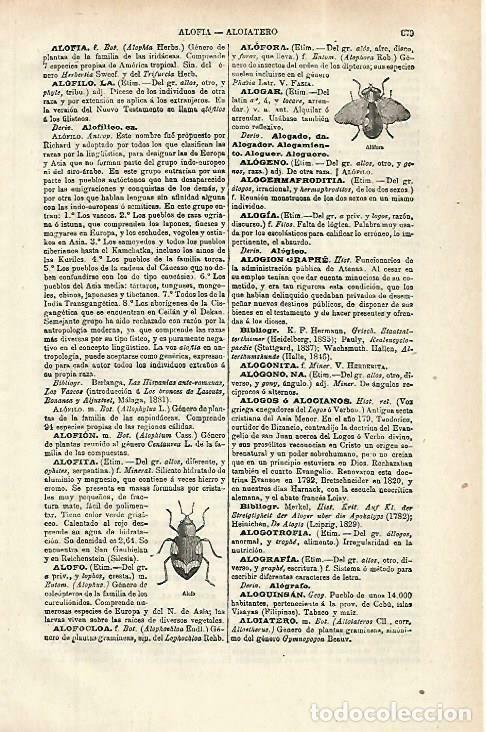 Postales: LAMINA ESPASA 33860: Alofora - Varios