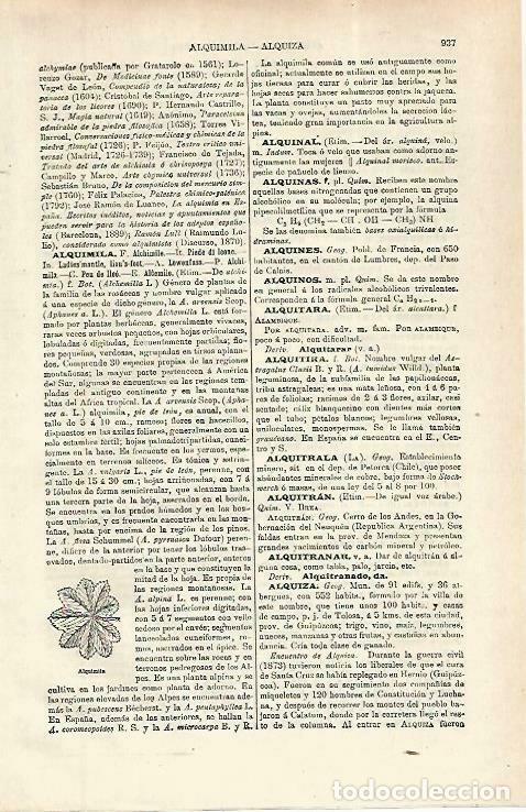Postcards: LAMINA ESPASA 33882: Alquimila - Varios