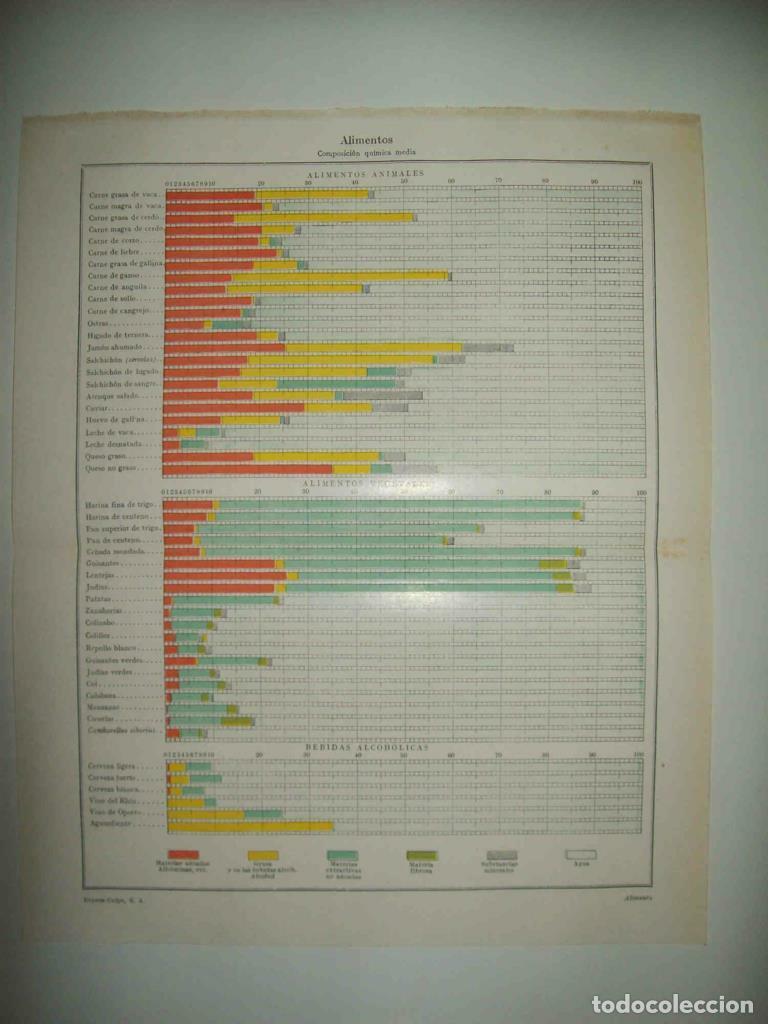Postcards: LAMINA ESPASA 33797: Composicion quimica de los alimentos - Varios