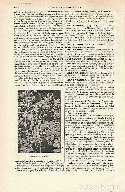 Postales: LAMINA ESPASA 33755: Algarroba - Varios