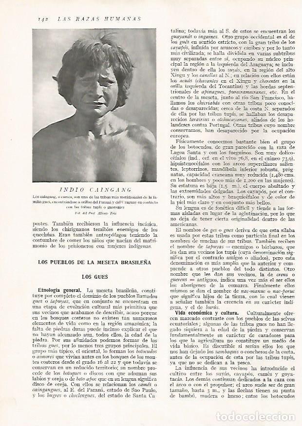 Postcards: LAMINA 15620: Indio Caingang - Director: Pedro Bosch Gimpera
