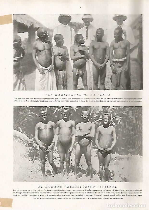 Postkarten: LAMINA 15664: Hombres pigmeos - Director: Pedro Bosch Gimpera