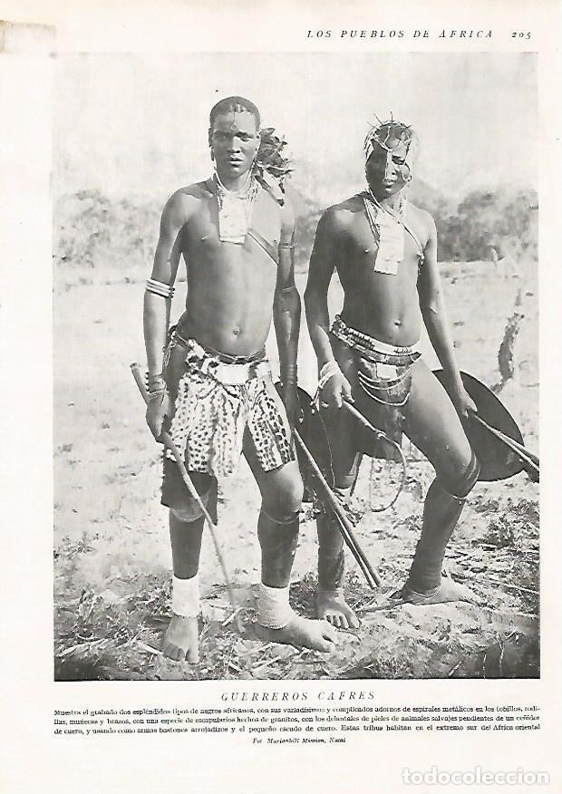 Postkarten: LAMINA 15657: Guerreros Cafres - Director: Pedro Bosch Gimpera