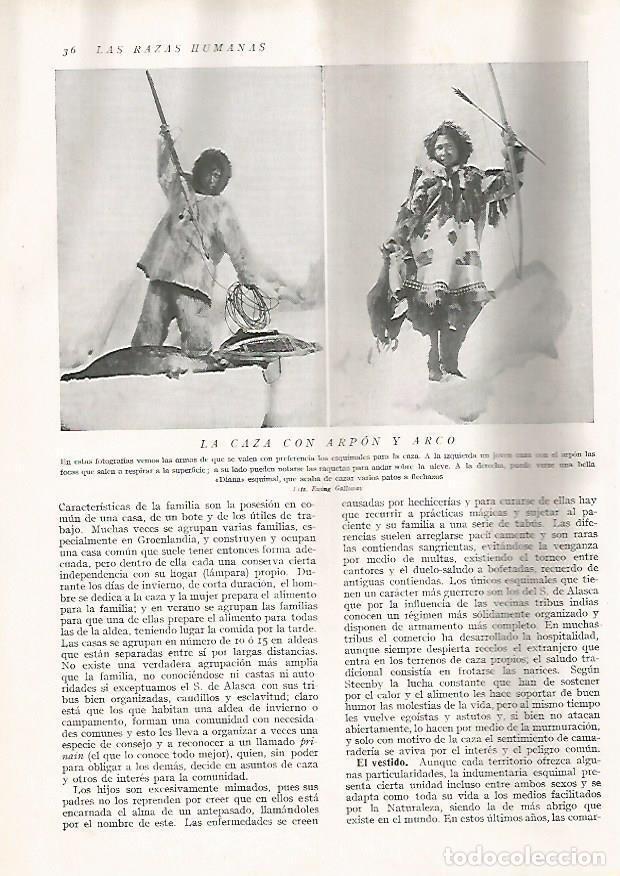 Postkarten: LAMINA 15561: Caza con arpon y arco - Director: Pedro Bosch Gimpera