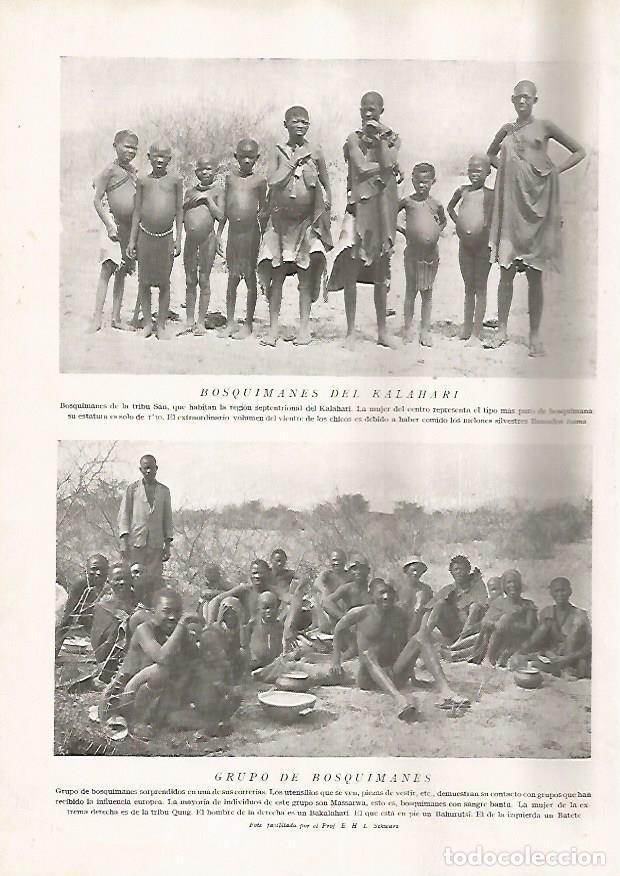 Postkarten: LAMINA 15665: Bosquimanes del Kalahari - Director: Pedro Bosch Gimpera