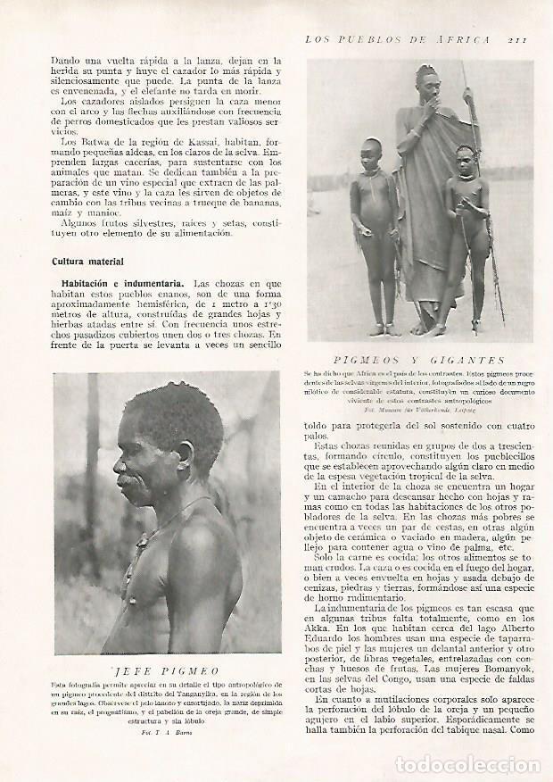 Postkarten: LAMINA 15661: Jefe pigmeo - Director: Pedro Bosch Gimpera