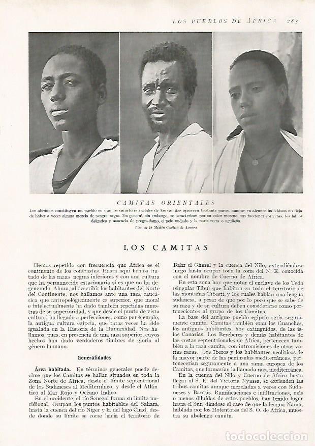 Cartoline: LAMINA 15707: Camitas orientales - Director: Pedro Bosch Gimpera