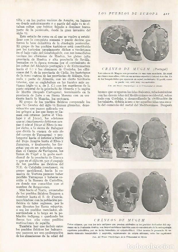 Postcards: LAMINA 15799: Craneos de Mugem, Portugal - Director: Pedro Bosch Gimpera