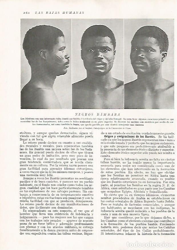 Postcards: LAMINA 15690: Hombres bambara - Director: Pedro Bosch Gimpera