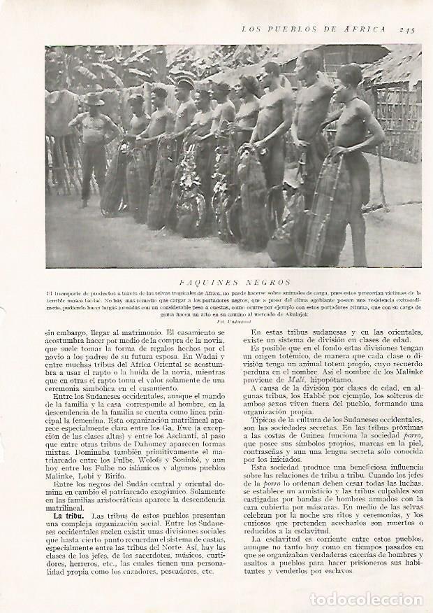 Postcards: LAMINA 15683: Portadores Ntuma - Director: Pedro Bosch Gimpera