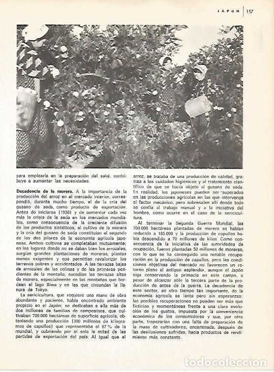 Cartoline: LAMINA 15362: Recoleccion de mandarinas en Japon - Varios