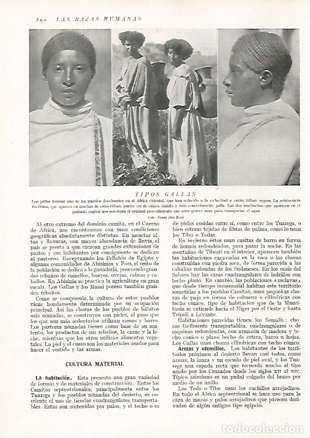 Postcards: LAMINA 15714: Gallas - Director: Pedro Bosch Gimpera