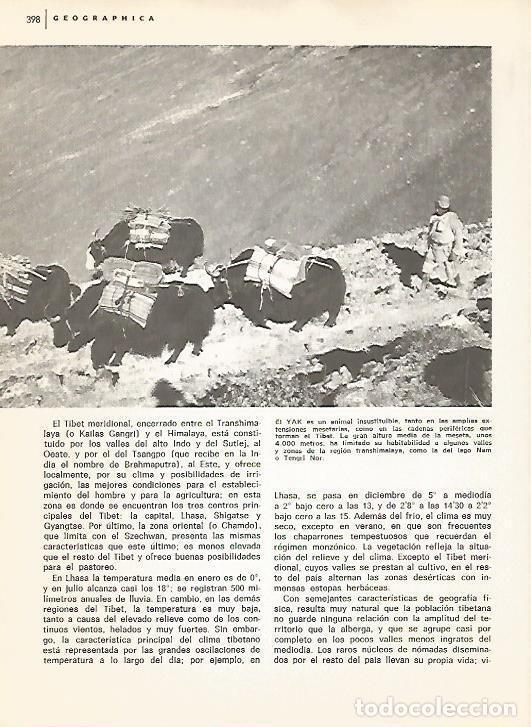 Postkarten: LAMINA 15493: Yak - Varios