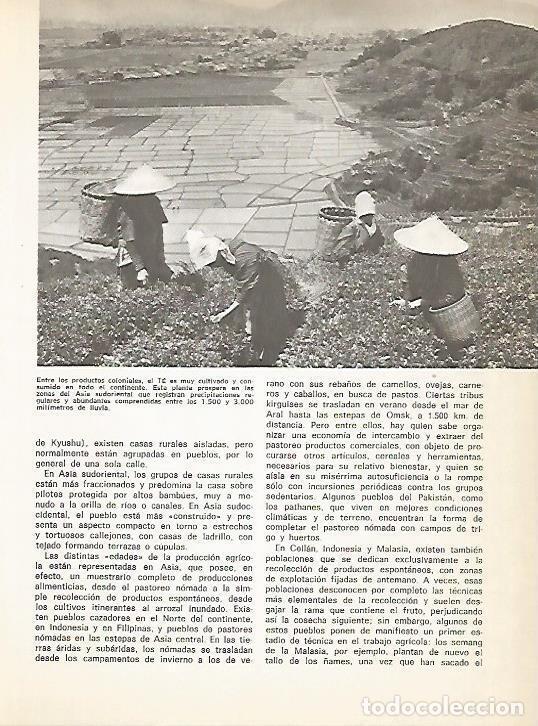 Postkarten: LAMINA 15337: Recoleccion del te - Varios