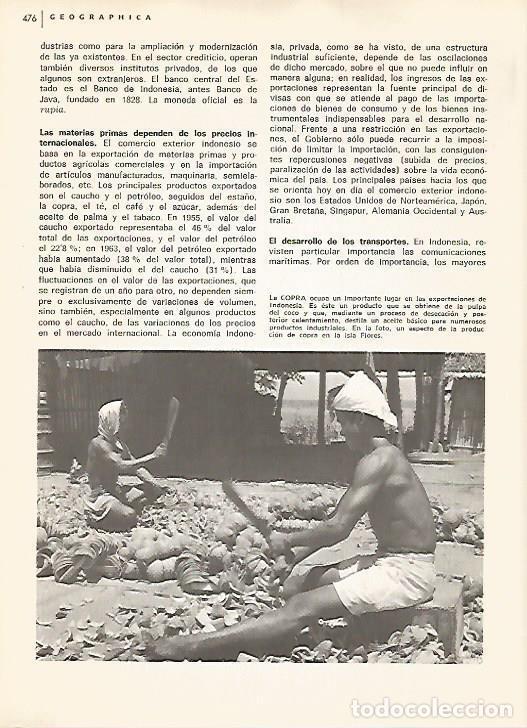 Postkarten: LAMINA 15536: Extraccion de copra en Indonesia - Varios