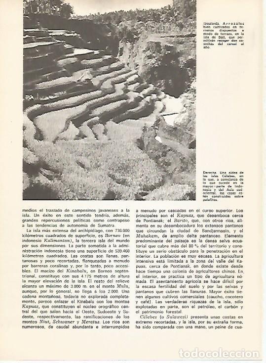 Postkarten: LAMINA 15531: Arrozales en Bali - Varios